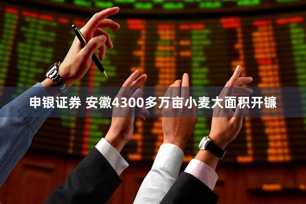 申银证券 安徽4300多万亩小麦大面积开镰