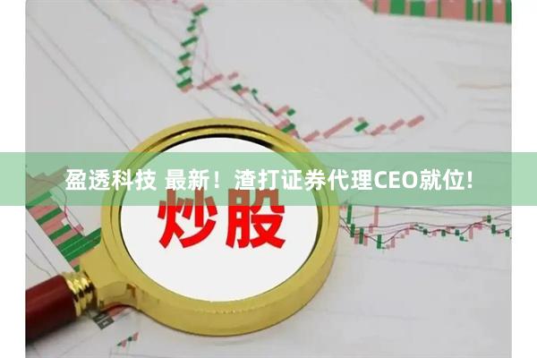 盈透科技 最新！渣打证券代理CEO就位!