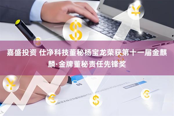 嘉盛投资 仕净科技董秘杨宝龙荣获第十一届金麒麟·金牌董秘责任先锋奖