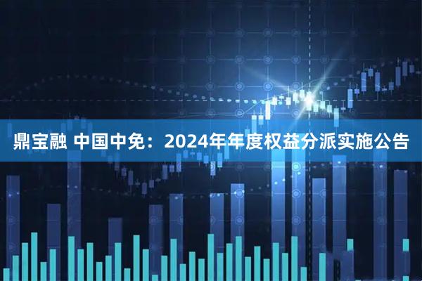 鼎宝融 中国中免：2024年年度权益分派实施公告